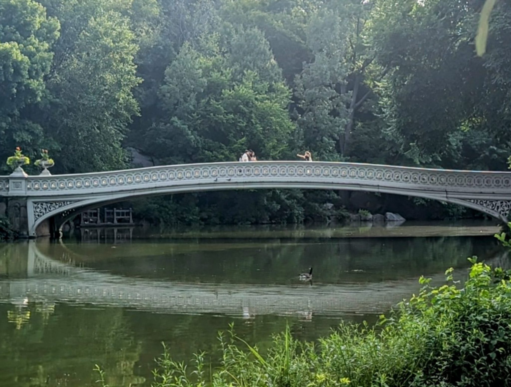 Central Park