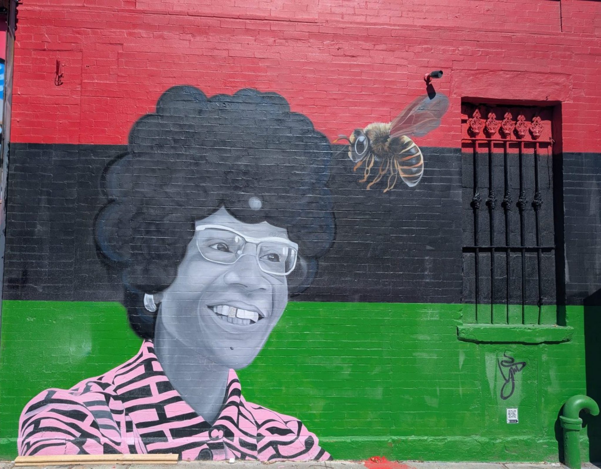 quartier de bedford stuyvesant