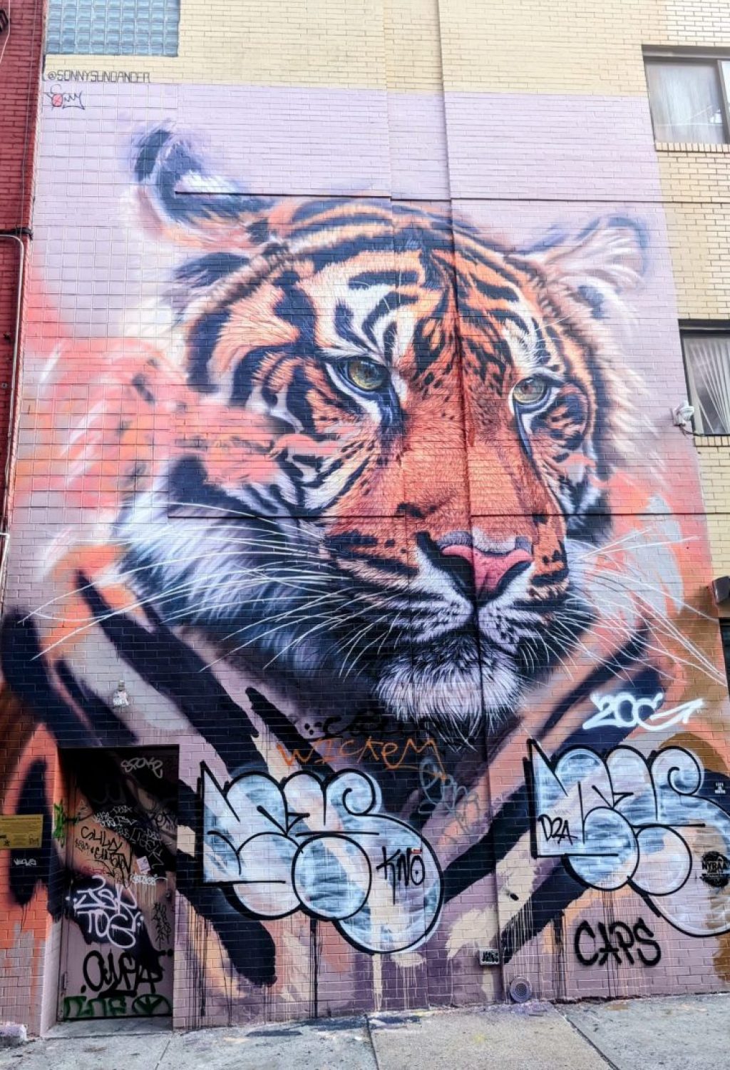 Street art quartier de Little Italy